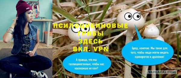 ECSTASY Баксан
