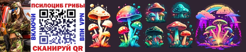 Псилоцибиновые грибы Magic Shrooms  mega рабочий сайт  Унеча  где купить наркотик 